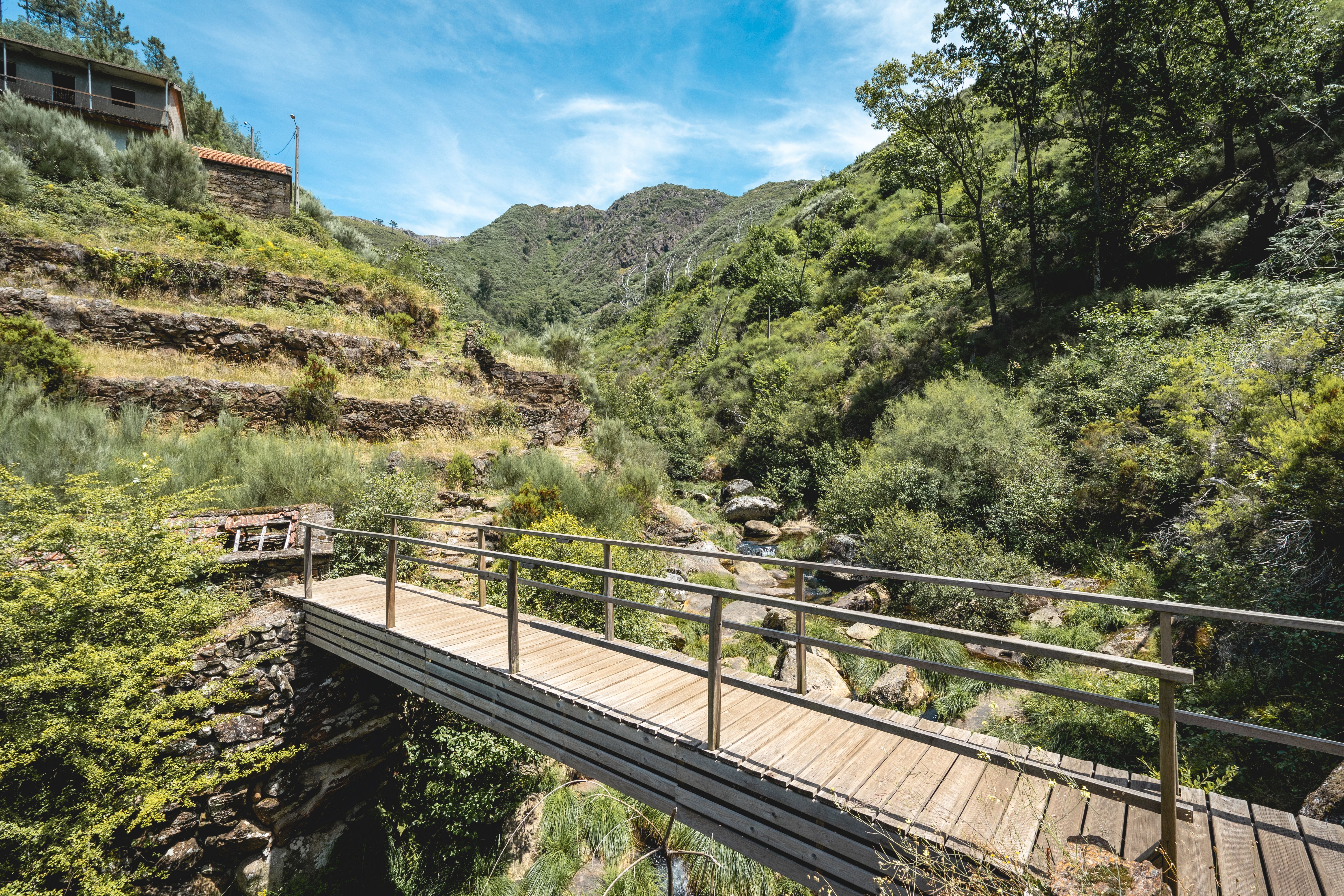A picturesque wooden bridge spans a lush green valley in Albergaria da Serra, Portugal.