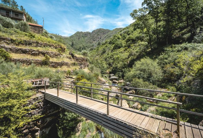 A picturesque wooden bridge spans a lush green valley in Albergaria da Serra, Portugal.