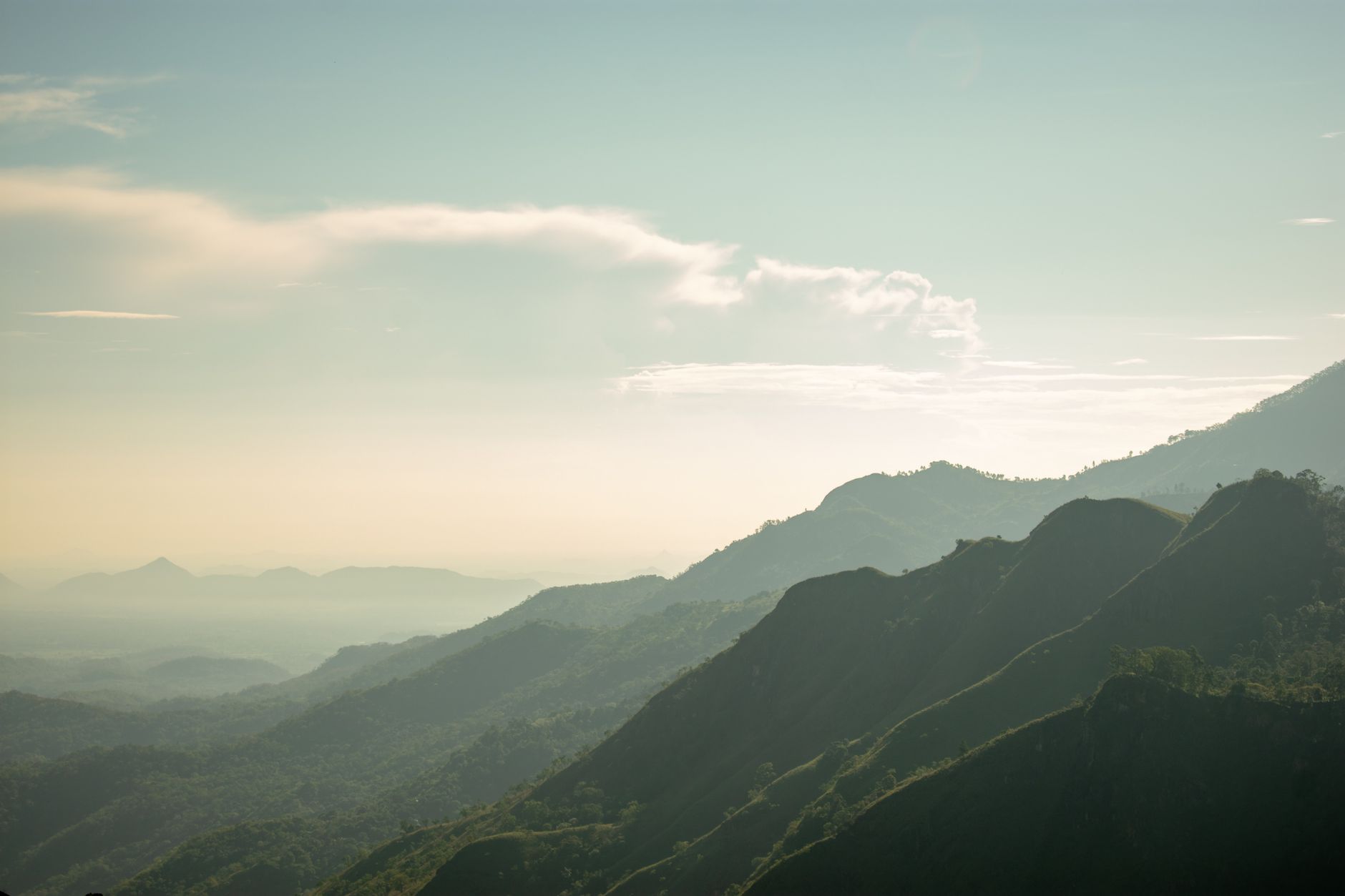 Mirissa Hills: Walking Routes, Viewpoints & Wildlife Guide