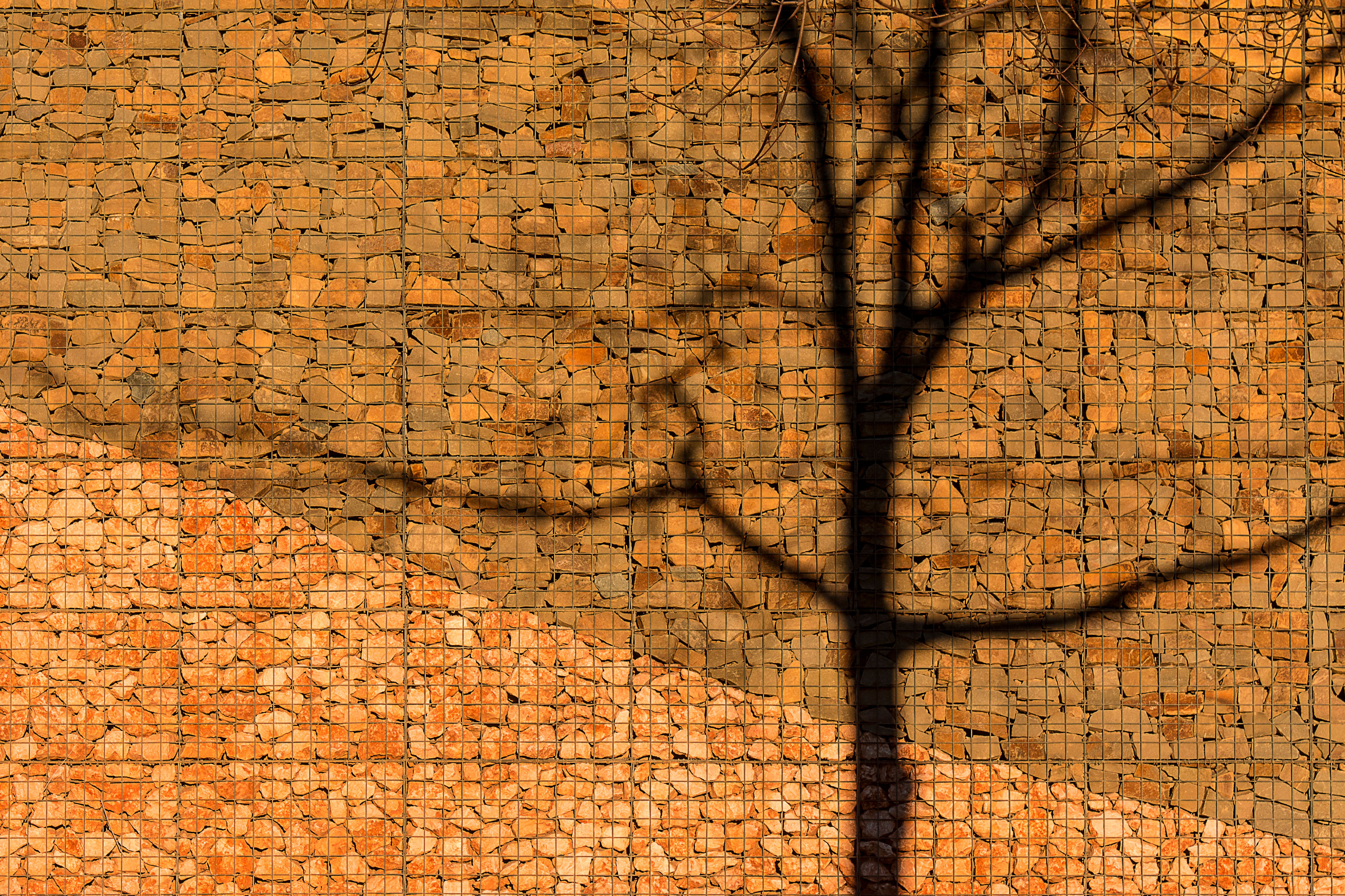 Artistic shadow of a tree cast on a textured stone wall, creating a unique geometric pattern.