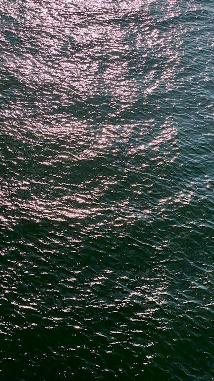 大浪, 斯屈达尔, 波形 的 免费素材图片