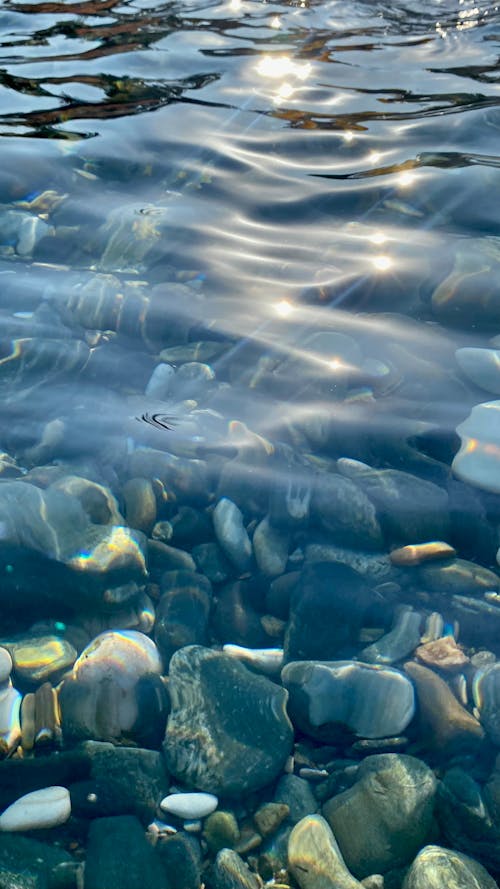 Бесплатное стоковое фото с алтынолук, балыкэсир, вода