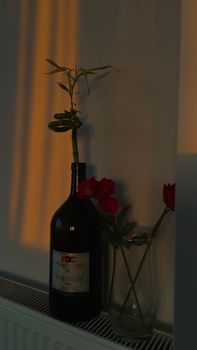 A wine bottle used as a vase with flowers against a wall, capturing sunset light.