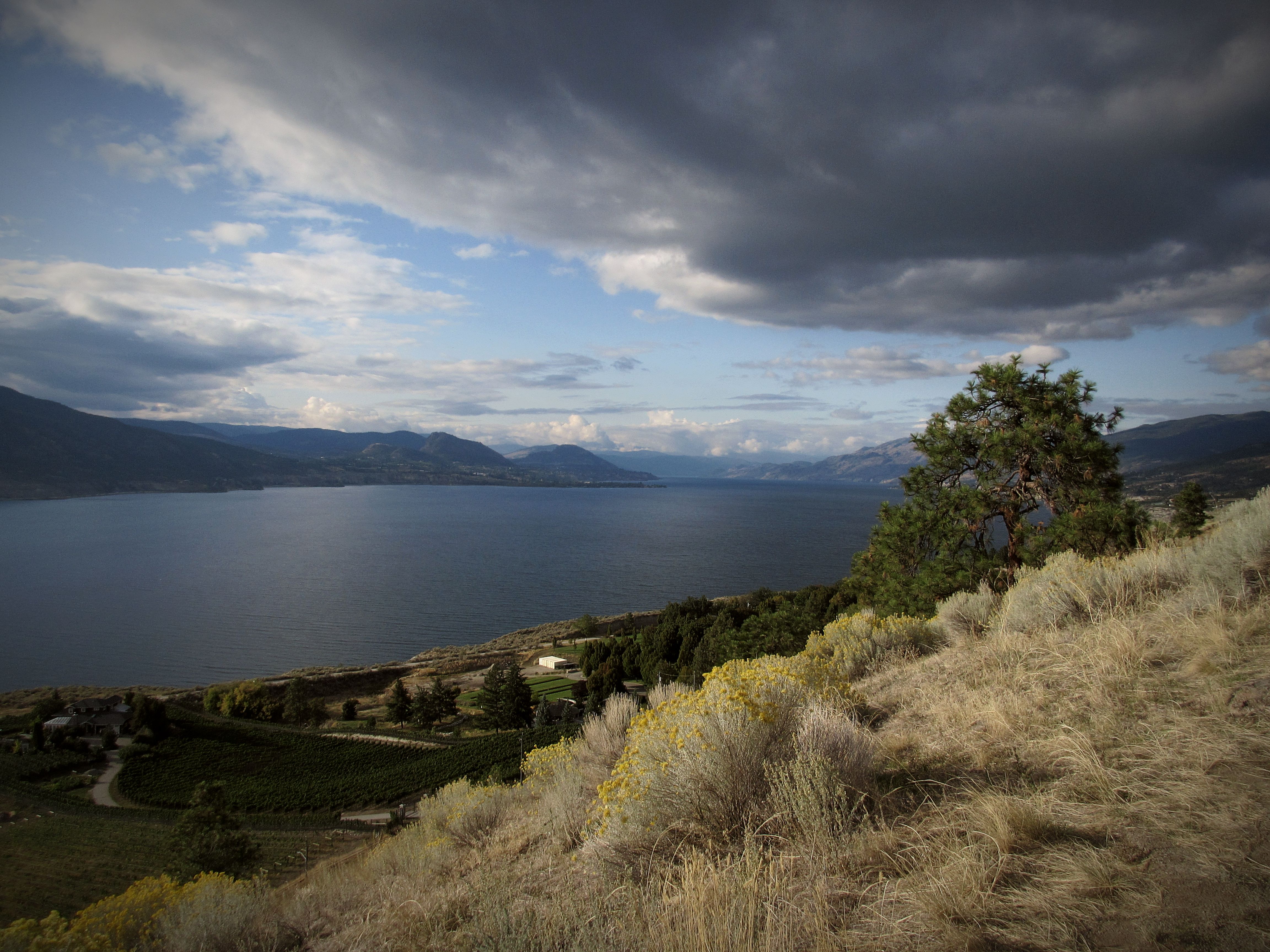 Scenic Okanagan landscape