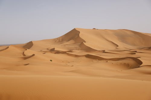 Free Dune on Barren Desert Stock Photo