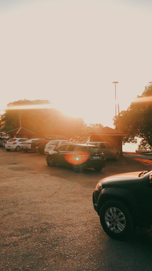 Cars on a Parking Lot at Sunset