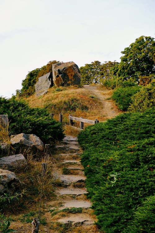 Stairs on Footpath among Bushes on Hill