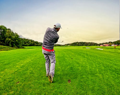 Základová fotografie zdarma na téma čip, denní světlo, golf