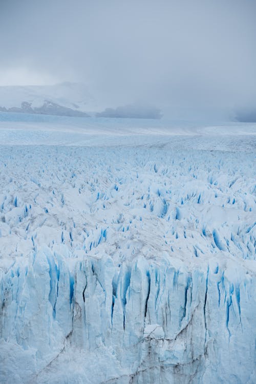 Photos gratuites de états-unis, froid, givré