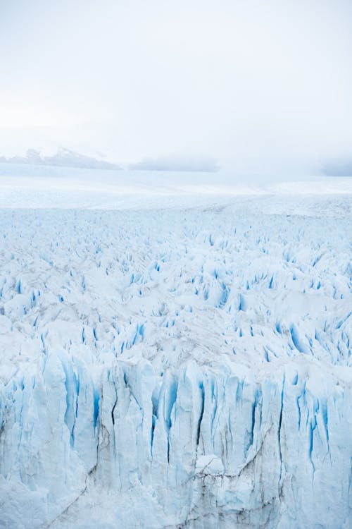 Photos gratuites de blanc, états-unis, froid