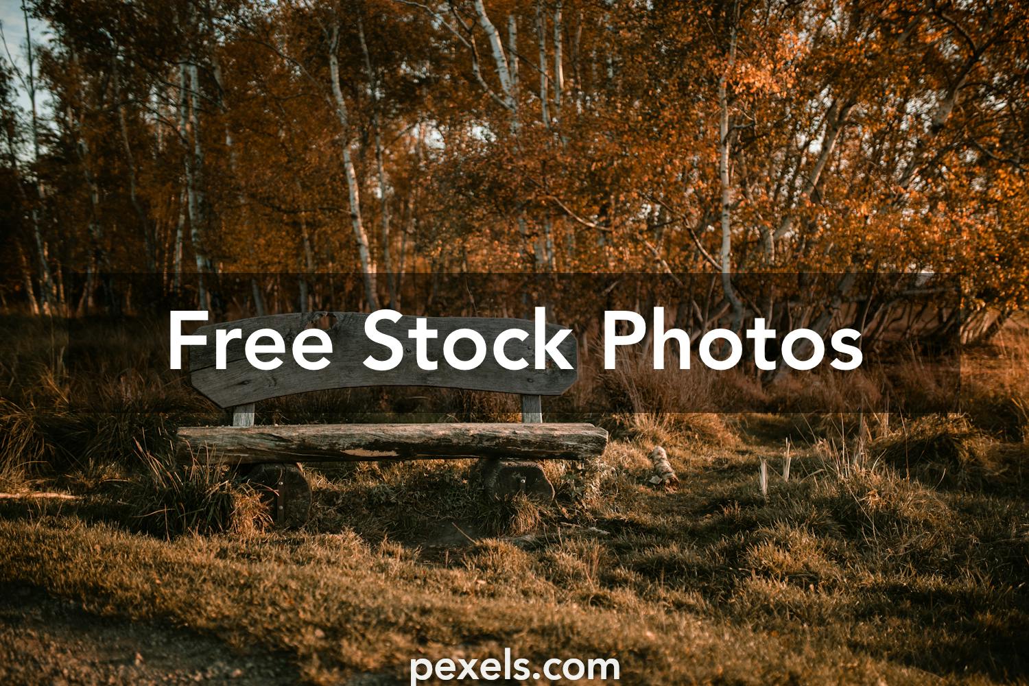 Quiet Landscapes Photos, Download The BEST Free Quiet Landscapes Stock ...