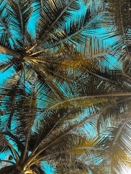 Low angle view of palm leaves forming a natural canopy against a vibrant, clear blue sky.