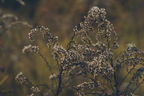 Fotobanka s bezplatnými fotkami na tému botanický, chodník, filmová estetika