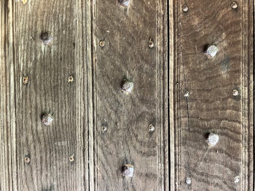 Medieval door with studs