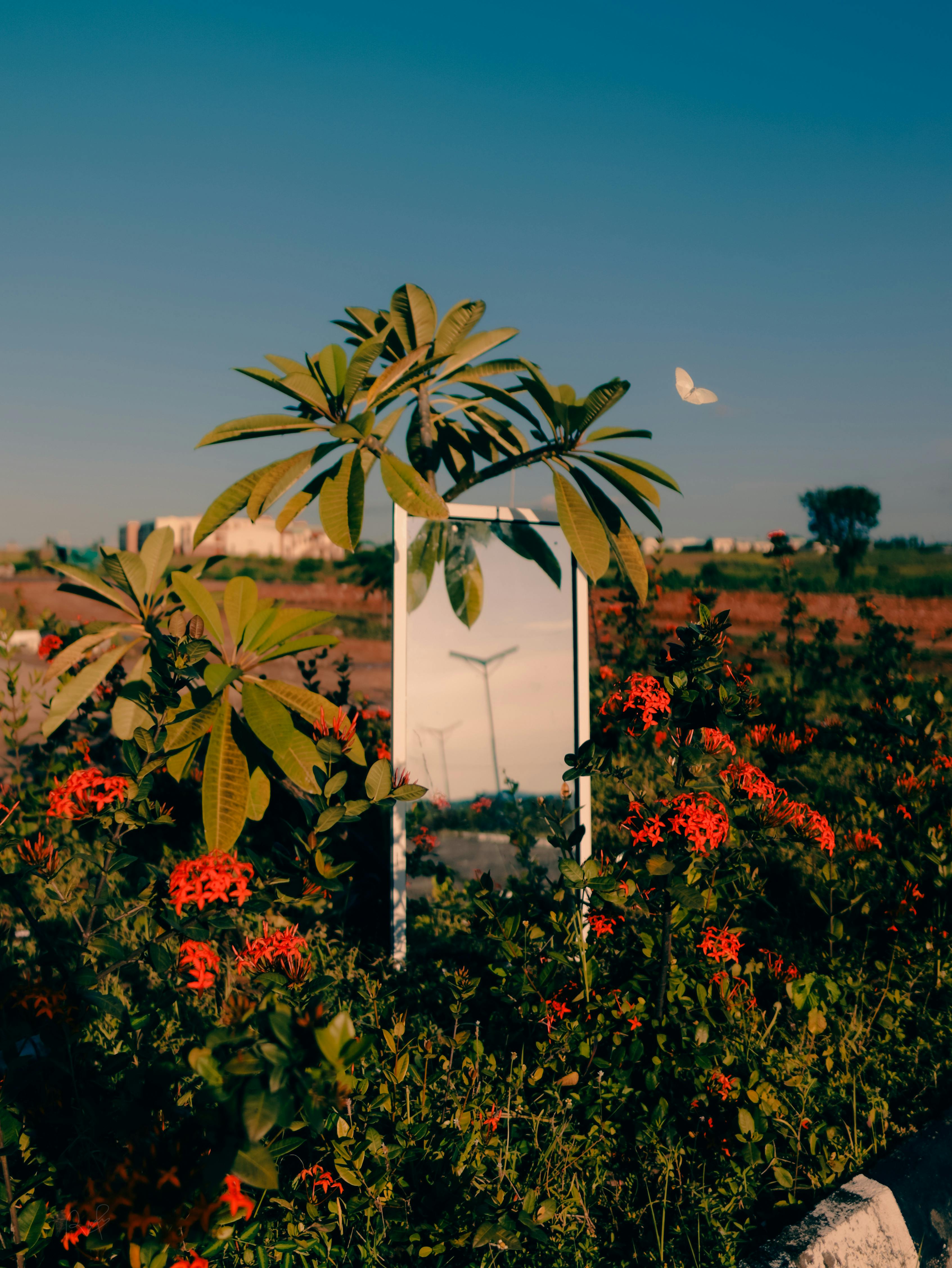 A mirror in a field reflects vibrant flowers and a butterfly, under a blue sky.