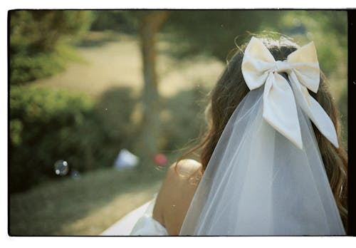 Back View of Bride Veil