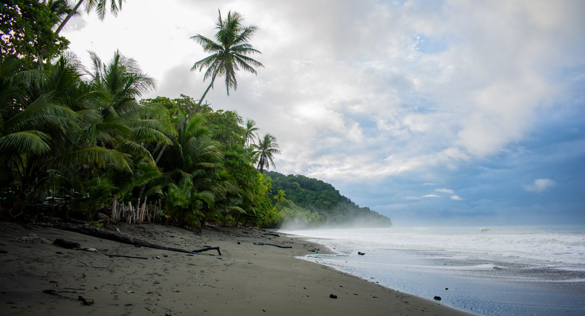 Costa Rica in Winter