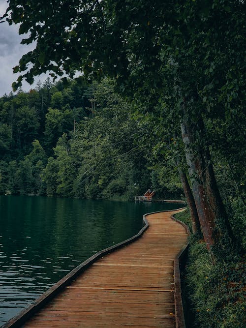 Základová fotografie zdarma na téma dřevěná cesta, dřevěná prkna, dřevěné cesty