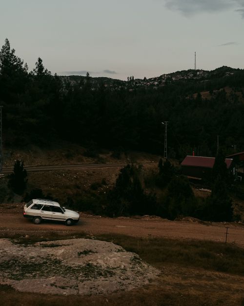 Free stock photo of forest, old car, trees forest Stock Photo