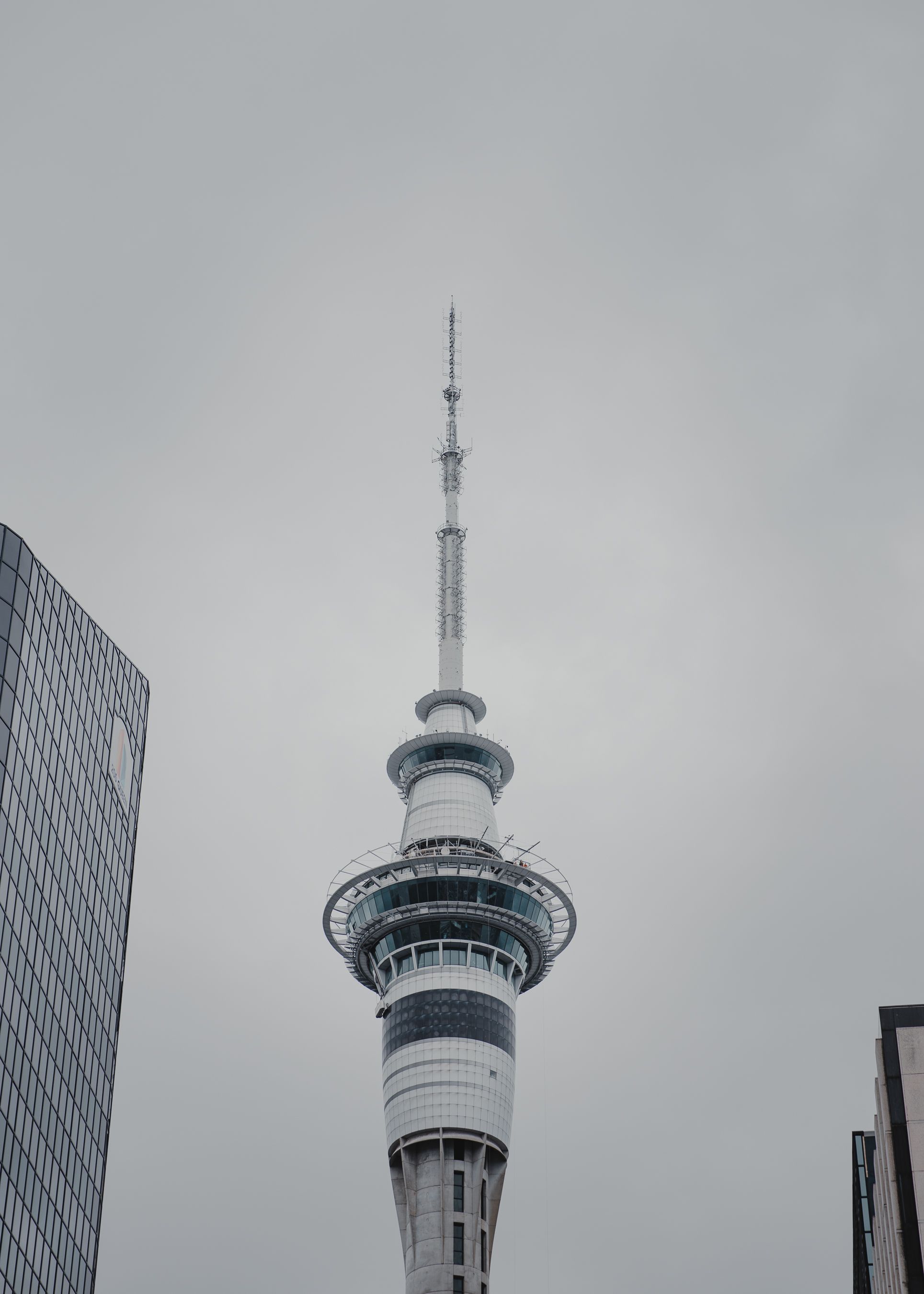 IPTV in New Zealand: Setup, Channels and Streaming Guide
