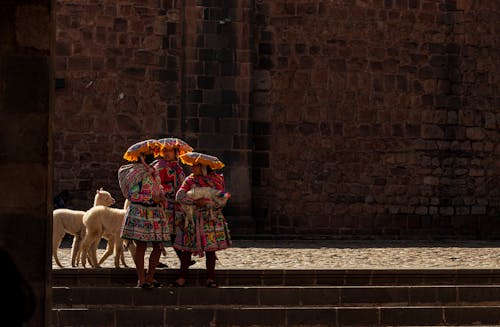 A Group of Girls in Traditional Clothing Walking with Lambs 