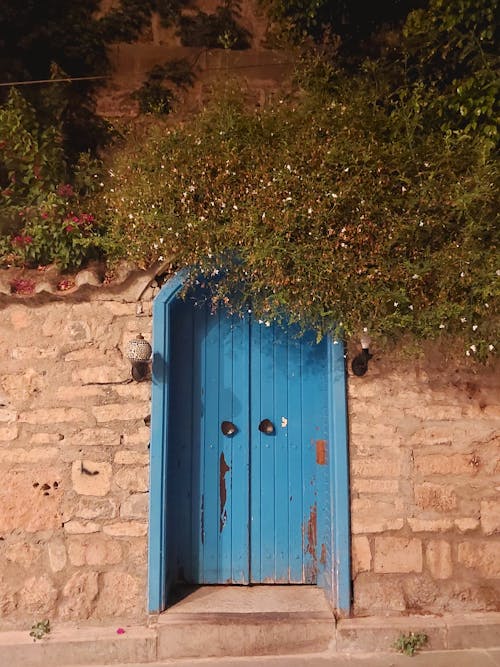 bina, bitki, dikey atış içeren Ücretsiz stok fotoğraf