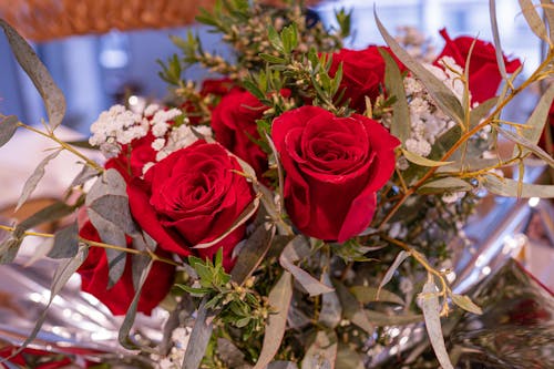 Red Flowers