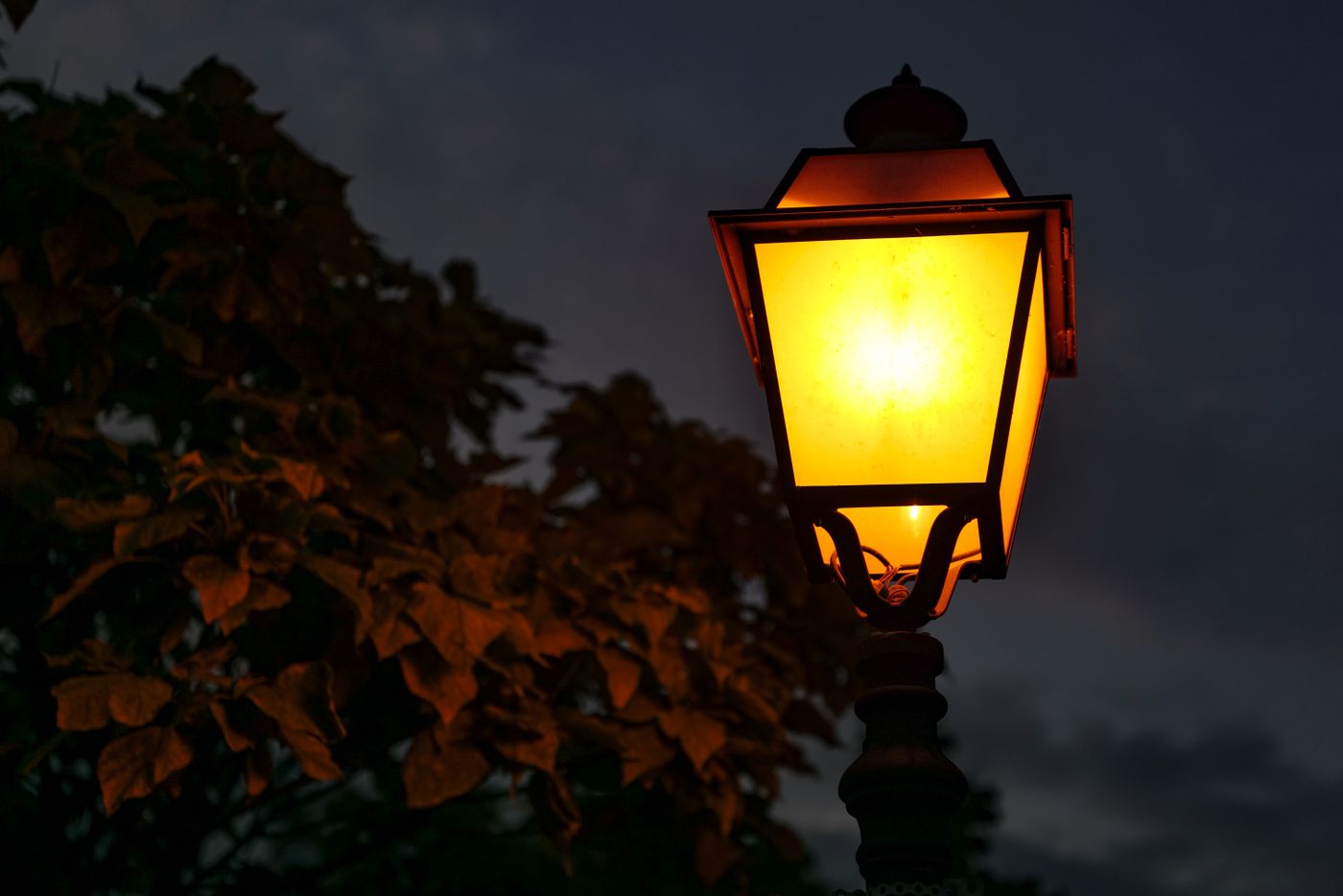 Luz âmbar de poste próxima às árvores durante a noite