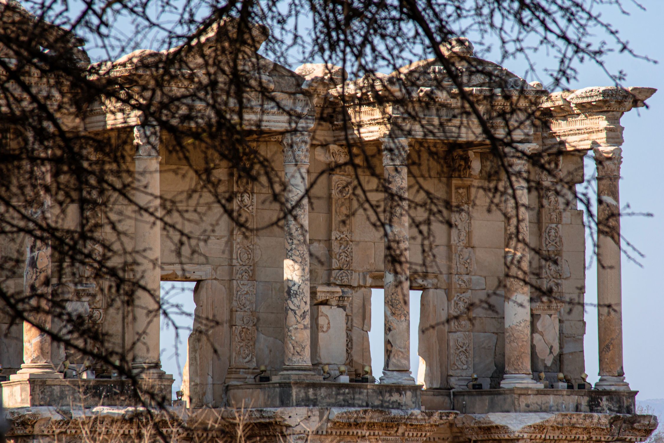 Ancient Building Railingworks Branches and Ancient Building with Columns behind · Free Stock Photo