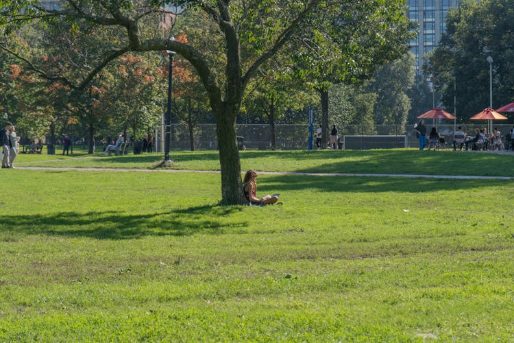 Woman Sitting Under Tree At Park