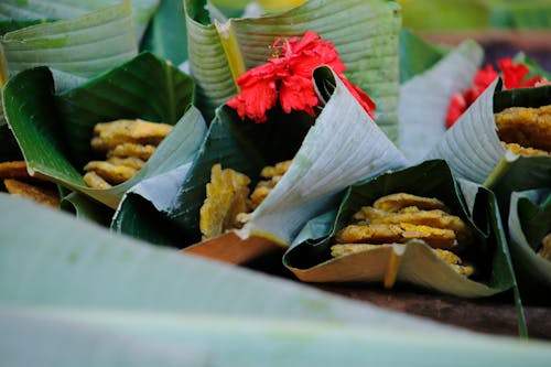 Foto profissional grátis de alimento, bananas, comida tropical