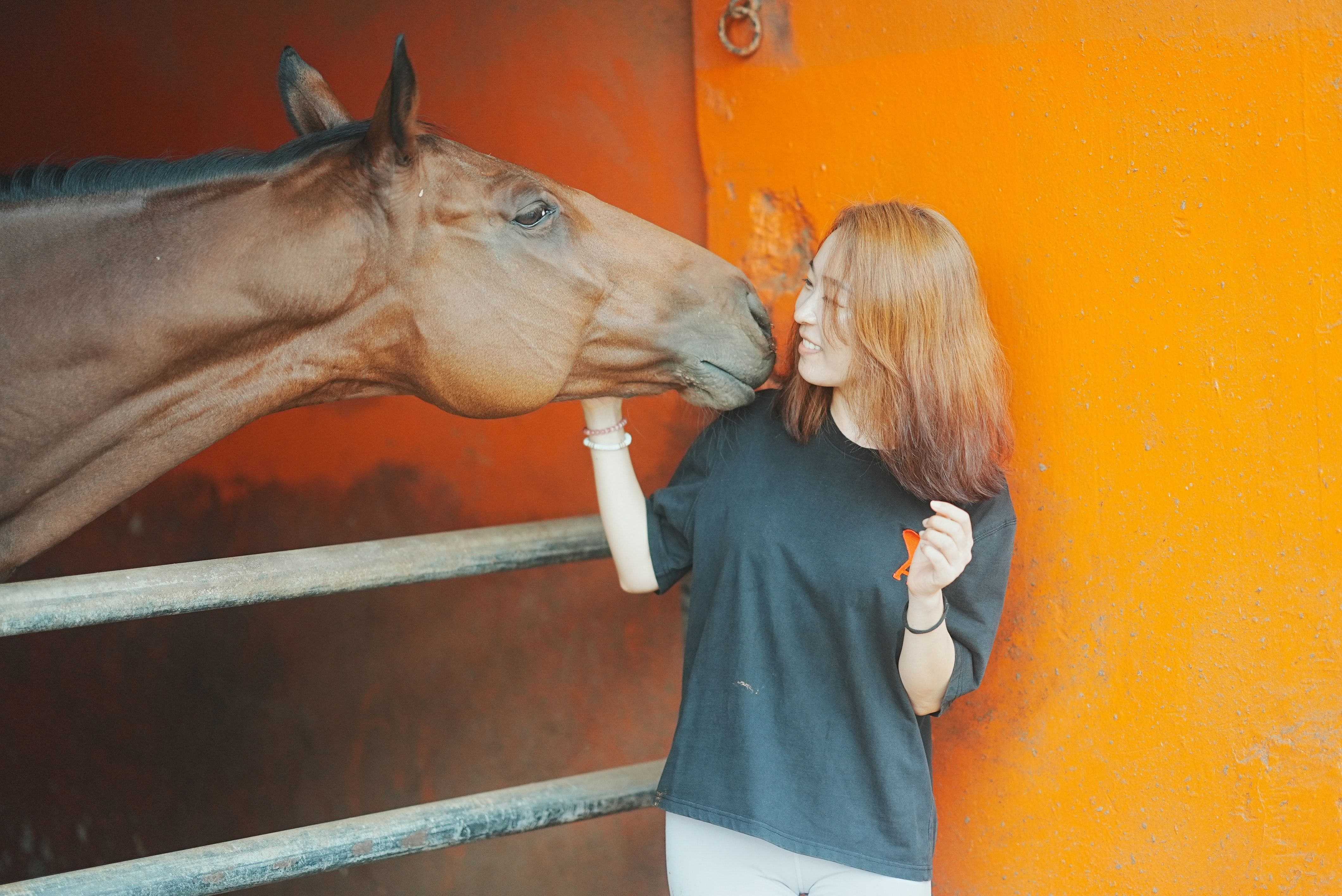 Taiwanese viewer studying horse racing statistics beside a quiet home window