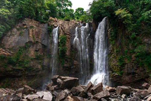 Waterfall on Rocks in Green Forest