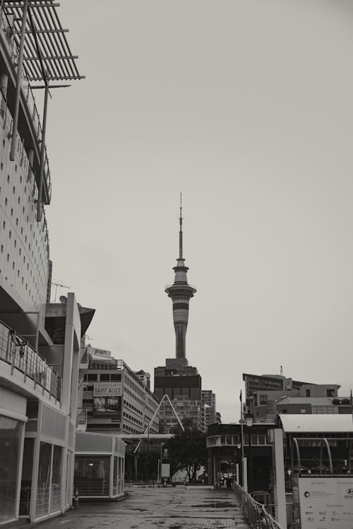 Foto stok gratis auckland, hitam & putih, kota besar