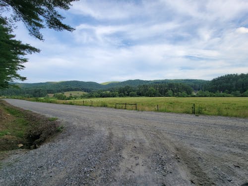 Grassland and Hills behind Dirt Road