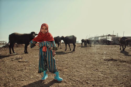 Free Young girl standing in an Iraqi village with cattle, wearing colorful clothing and a red shawl. Stock Photo