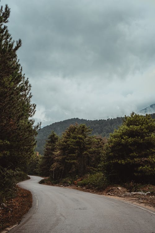 Free View of an Asphalt Road between Forests in Autumn  Stock Photo