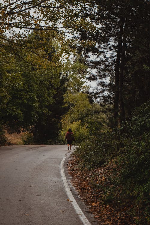 가을, 걷고 있는, 나뭇잎의 무료 스톡 사진