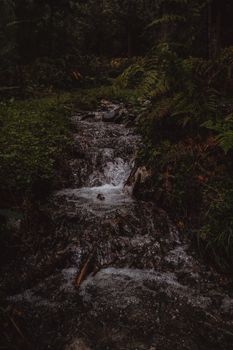 Image by hello aesthe