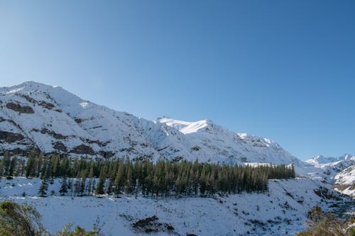 Бесплатное стоковое фото с деревья, долина, зима