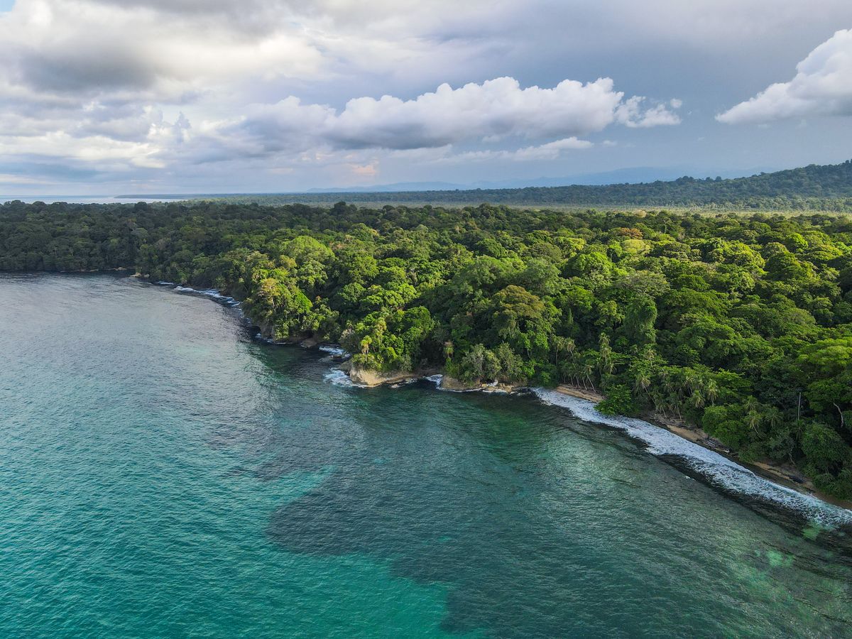 Aerial view of tropical rainforest meeting clear blue ocean