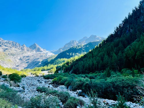 Glacier du Trient - Suisse