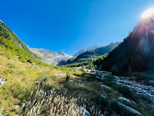 Glacier du Trient - Suisse