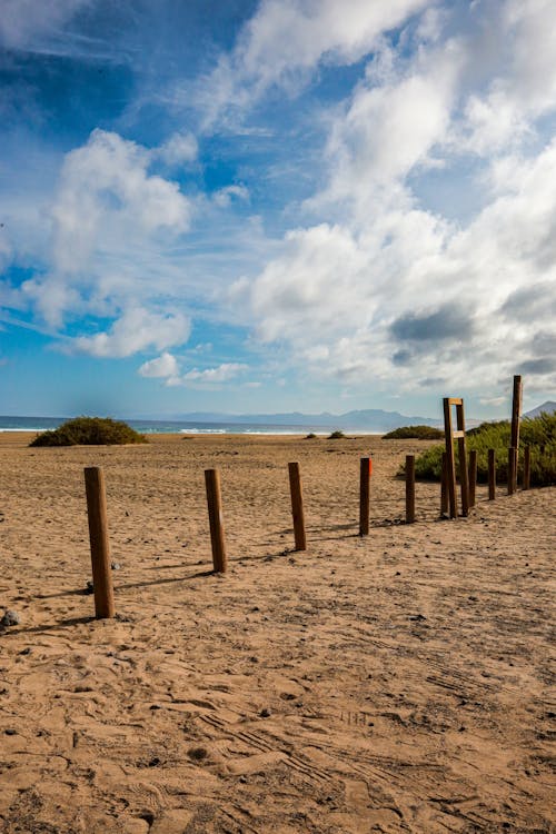 beach ocean horizon