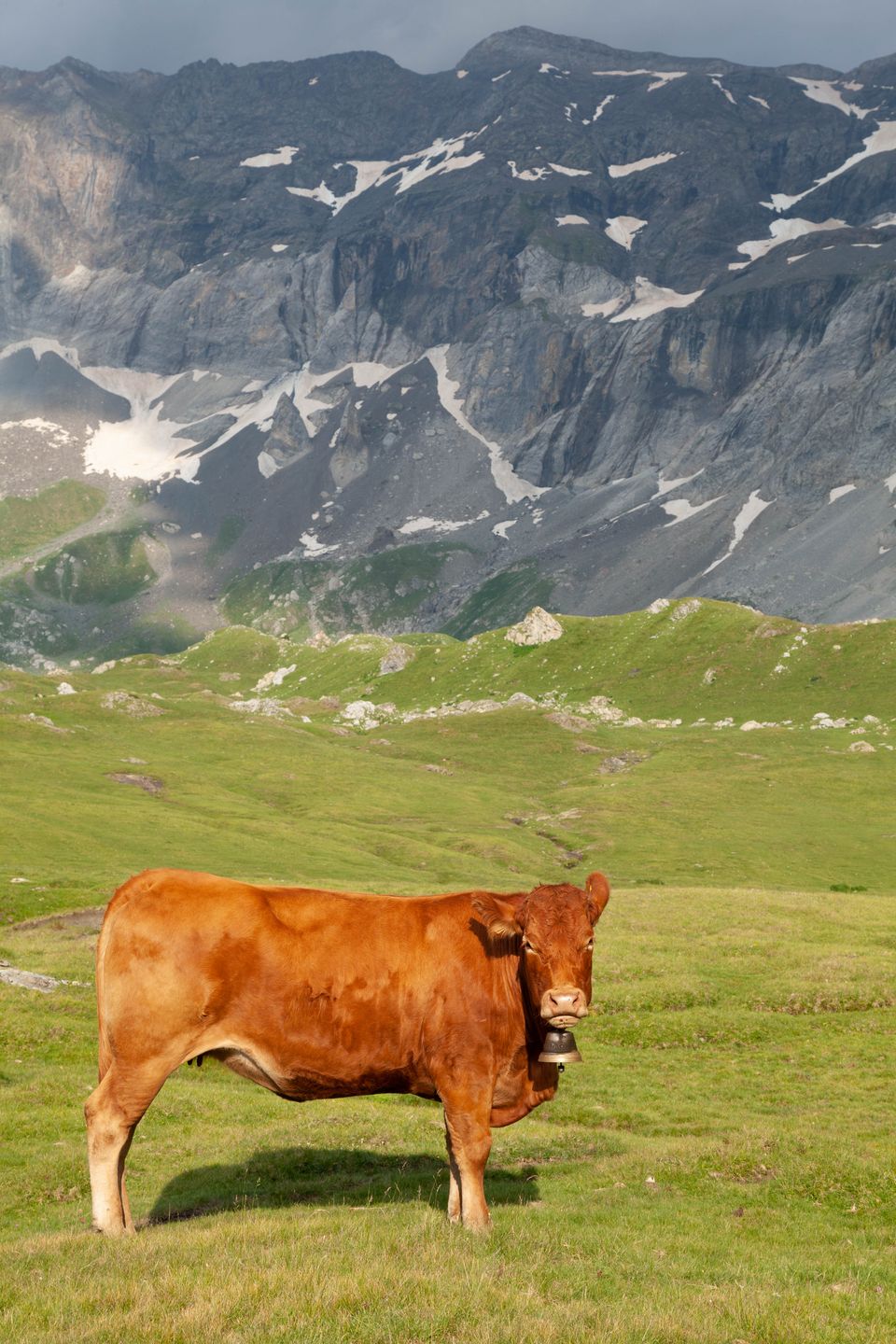 in Limousin