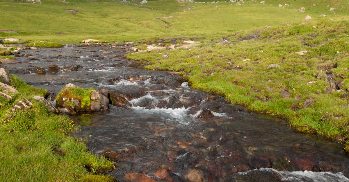 A stream runs through a grassy field with mountains in the background ...