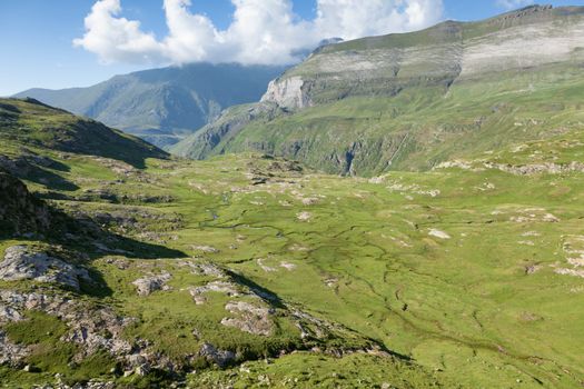 A valley with grass and mountains in the background
