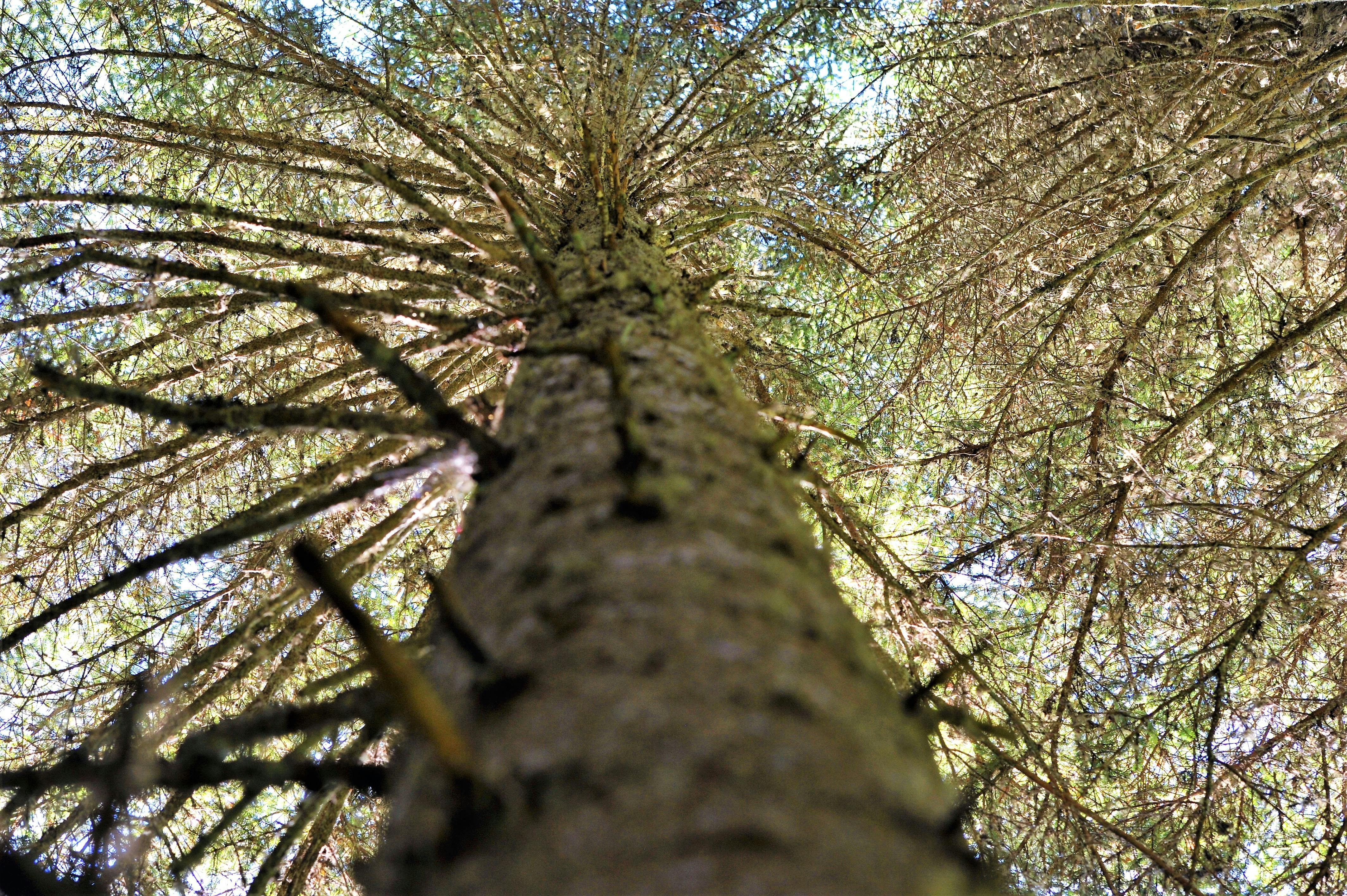 Football analytics chart displayed on a laptop screen