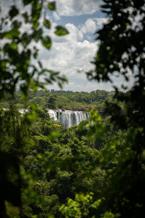 Immagine gratuita di alberi, brasile, cascata