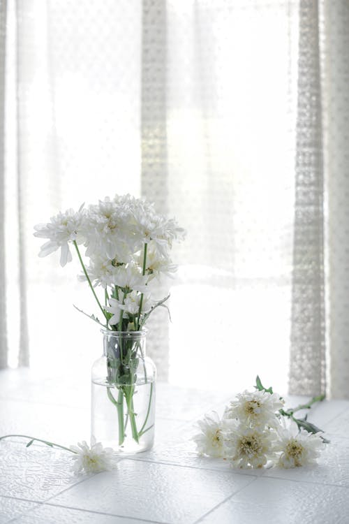 White Chrysanthemums in Glass Vase